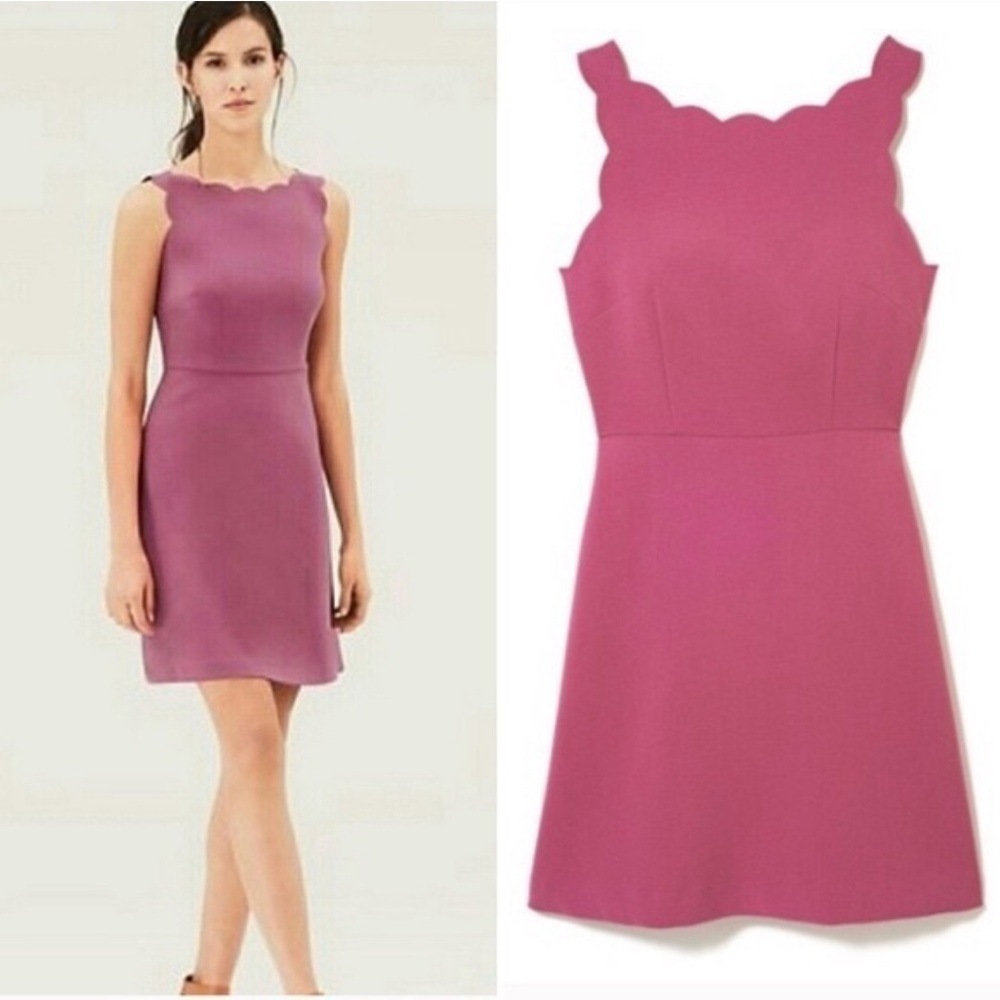 LOFT Scalloped Mauve Sheath Dress